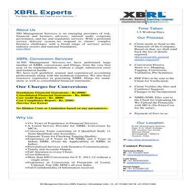 Xbrl Conversion Services