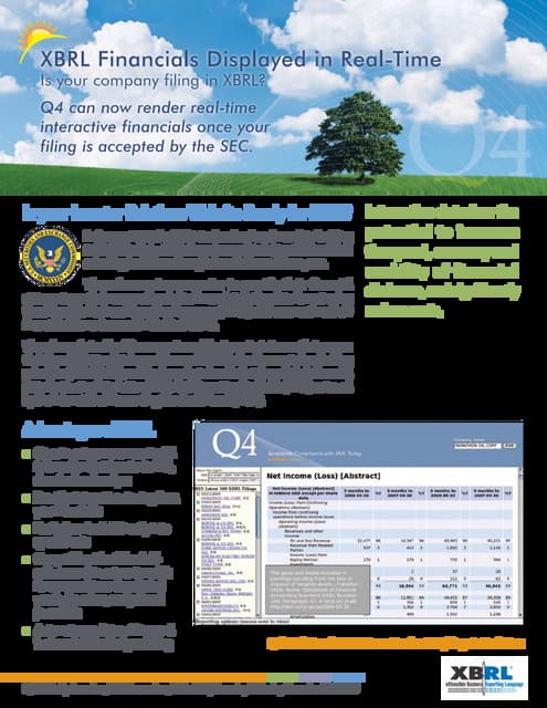 XBRL Financials for Investor Relations Websites - Q4 Web Systems