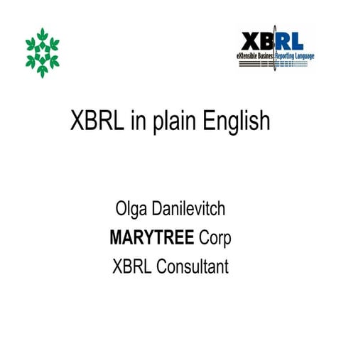 Xbrl In Plain English Ima 111709 Final | PDF