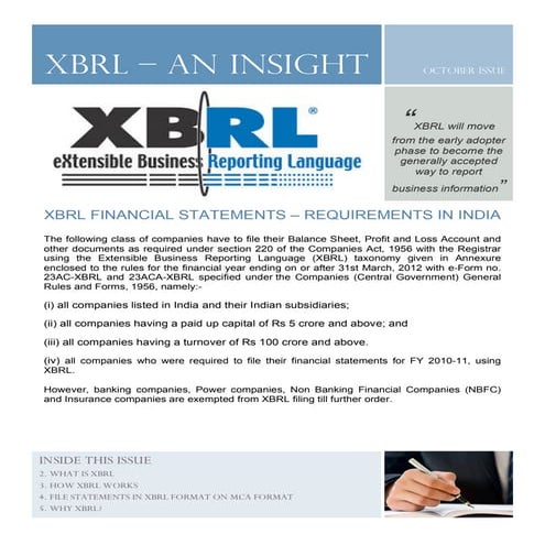 Xbrl insights