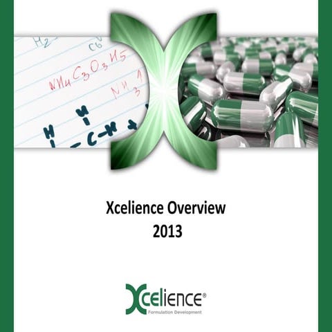 Xcelience linked in2013