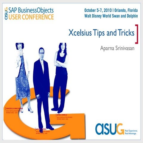 Xcelsius tips and tricks for your Enterprise