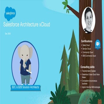 B2C-Commerce-Architect PDF問題サンプル