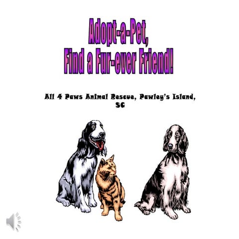 All 4 paws rescue | PPT