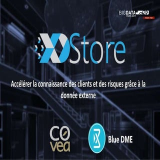 Blue DME - COVEA : projet XDStore s...