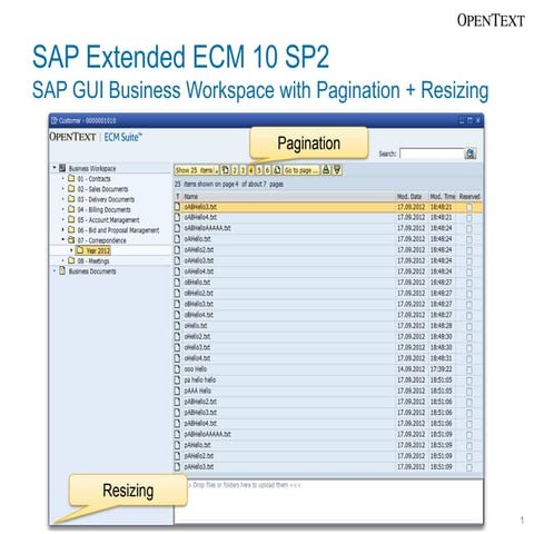 SAP Extended ECM 10 SP2 - SAP GUI Business Workspace with Pagination and Resi...