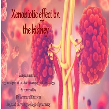 Xenobiotic affect on kidney