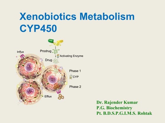 Cytochrome p450 | PDF | Endocrine and Metabolic Diseases | Diseases and ...