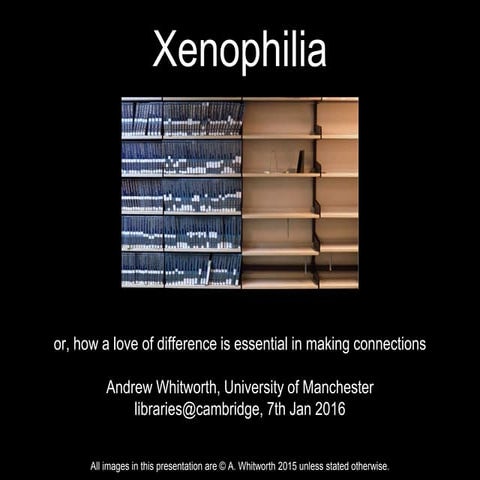 Xenophilia: how a love of difference is essential in making connections