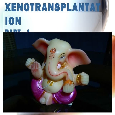 Xenorenotransoplantation 1