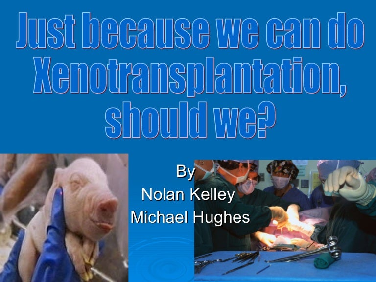 Xenotransplantation, Period 6