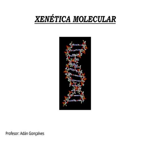 Xenética molecular