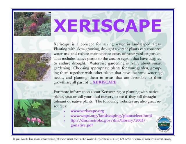 Xeriscape - City of Bellingham, Washington