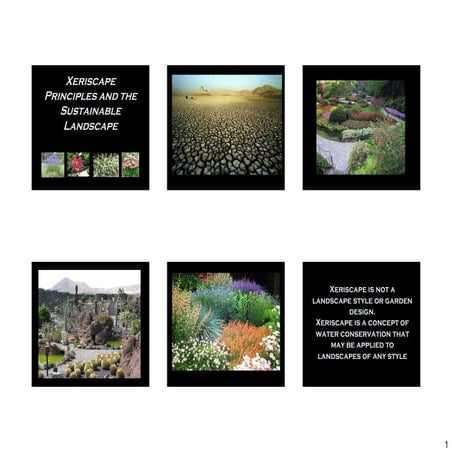 Xeriscape and the Sustainable Landscape - Texas Solar Energy Society