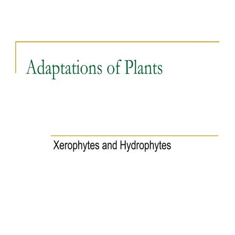 Xerophytes and hydrophytes