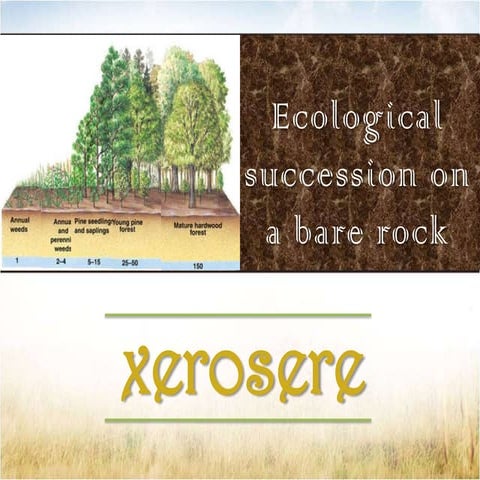 Xerosere