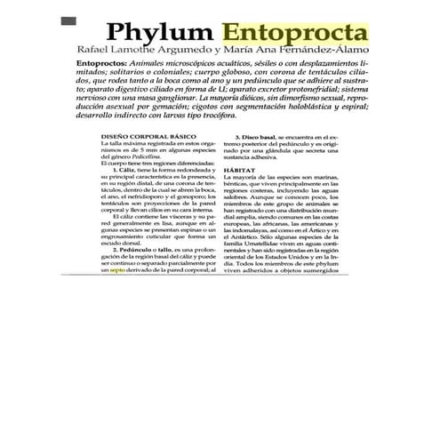 Entoprocta para estudiar | PDF
