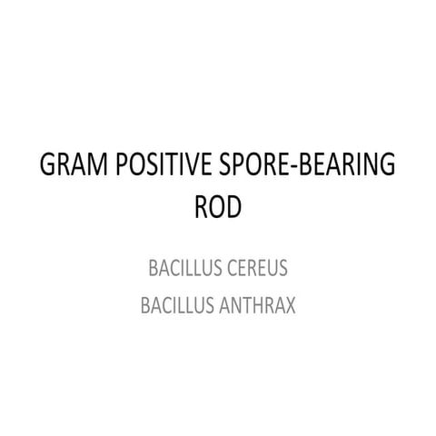 [Micro] gram positive spore bearing rods