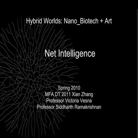 Xian z netintelligence_final