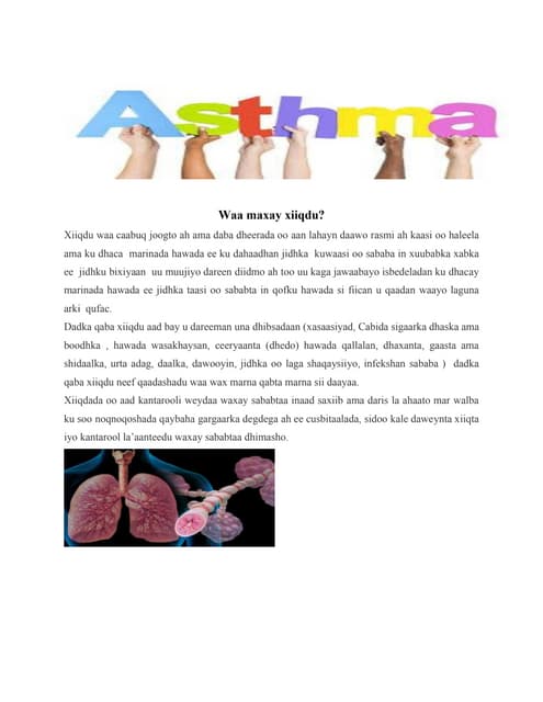 Waa maxay Xiiqdu ( Asthma)