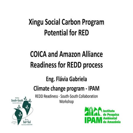 Xingu social carbon program red potential ipam flavia gabriela franca