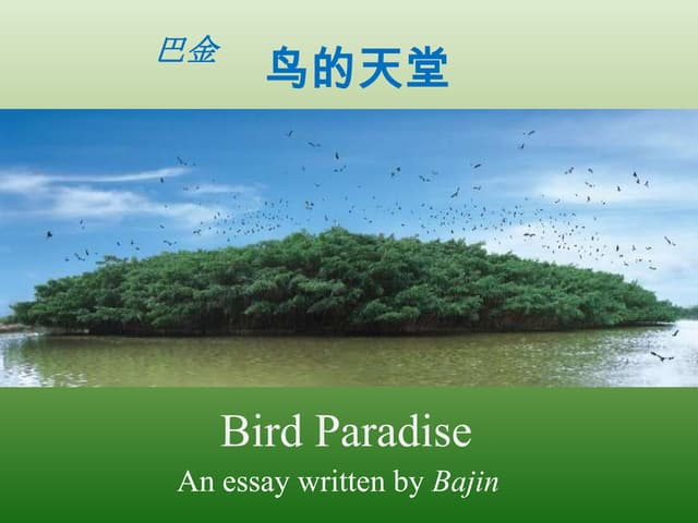 Xinhui bird paradise
