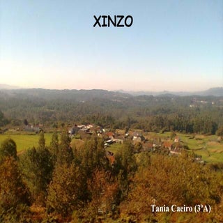 Xinzo