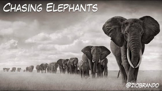 Chasing Elephants - Alberto Brandolini - Codemotion Rome 2017