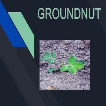 PRODUCTION TECHNOLOGY OF GROUNDNUT