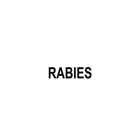 Rabies