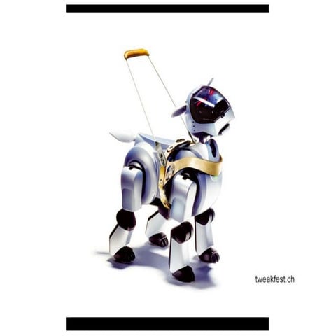 Digital Communication within Crossmedia (2006)