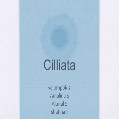 Xmia13 cilliata