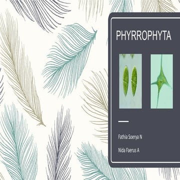 Xmia2 phyrrophyta