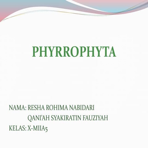 Xmia5 phyrrophyta