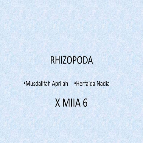Xmia6 rhizopoda