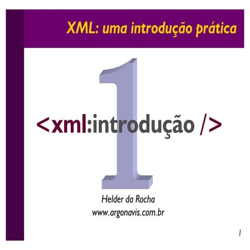 Xml100 1
