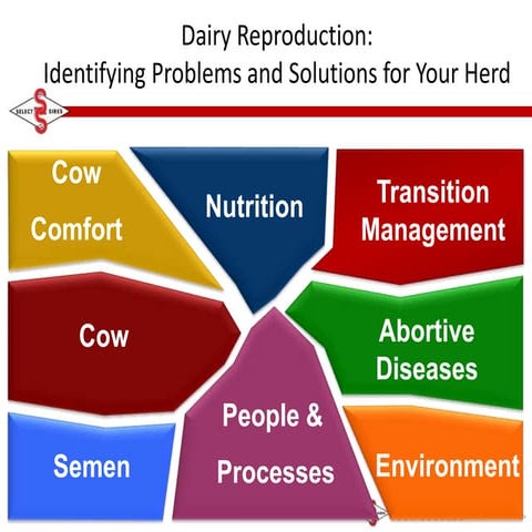 Dairy Reproduction: Identifying Problems and Solutions for Your Herd
