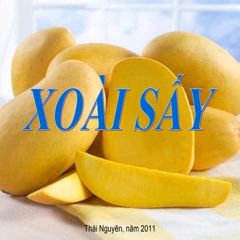 Xoài sấy