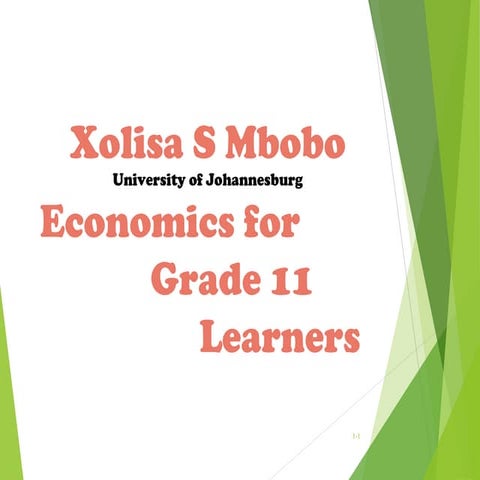 Economics concepts for grade 11 learners
