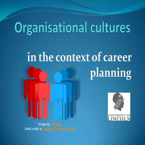 CIP Organisational Cultures