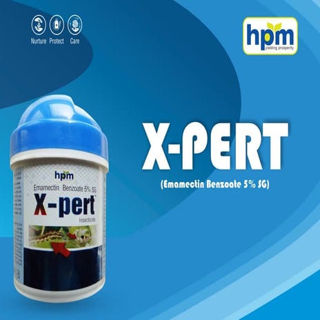 Xpert