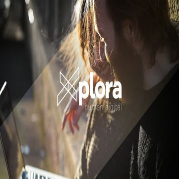 Xplora Newsletter Portfolio