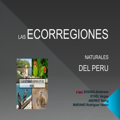 11 ecorregiones power point