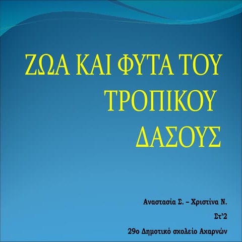 Φυτά και ζώα του τροπικού δάσους