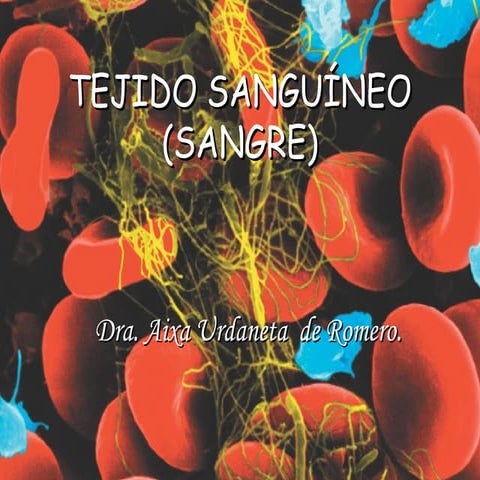 Tejido Sanguineo