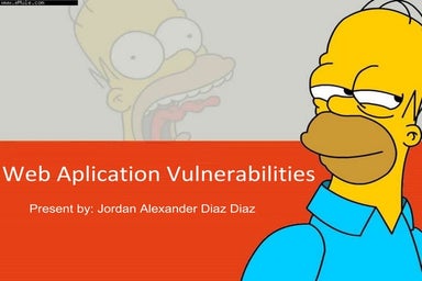 Web Aplication Vulnerabilities 