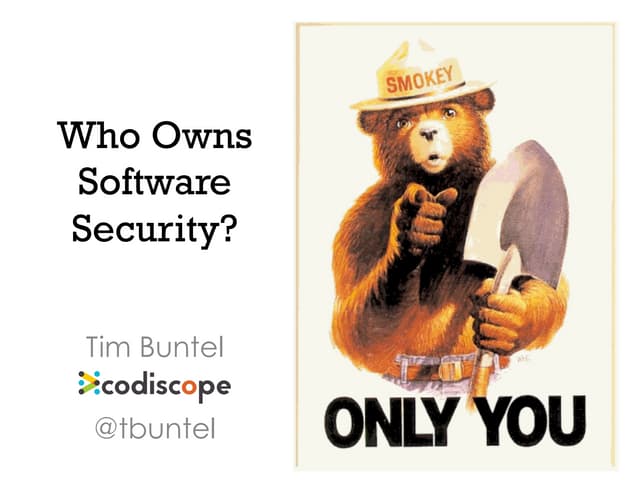 Who Owns Software Security?