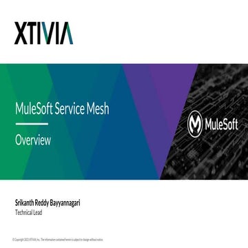 MuleSoft Monitoring Meetup | PPTX