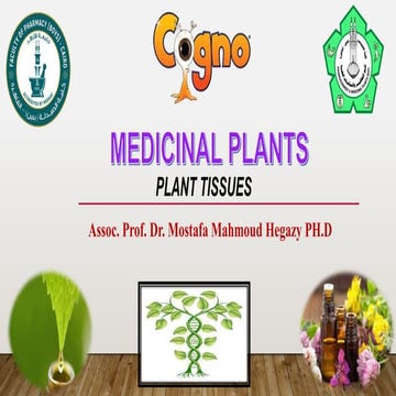 4-_Medicinal_plants_-_plant_tissues.pptx