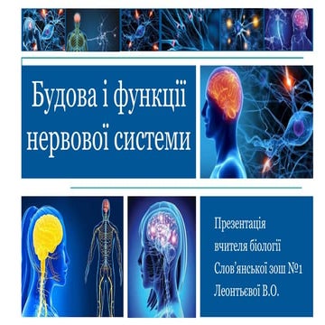 Будова і функції нервової системи